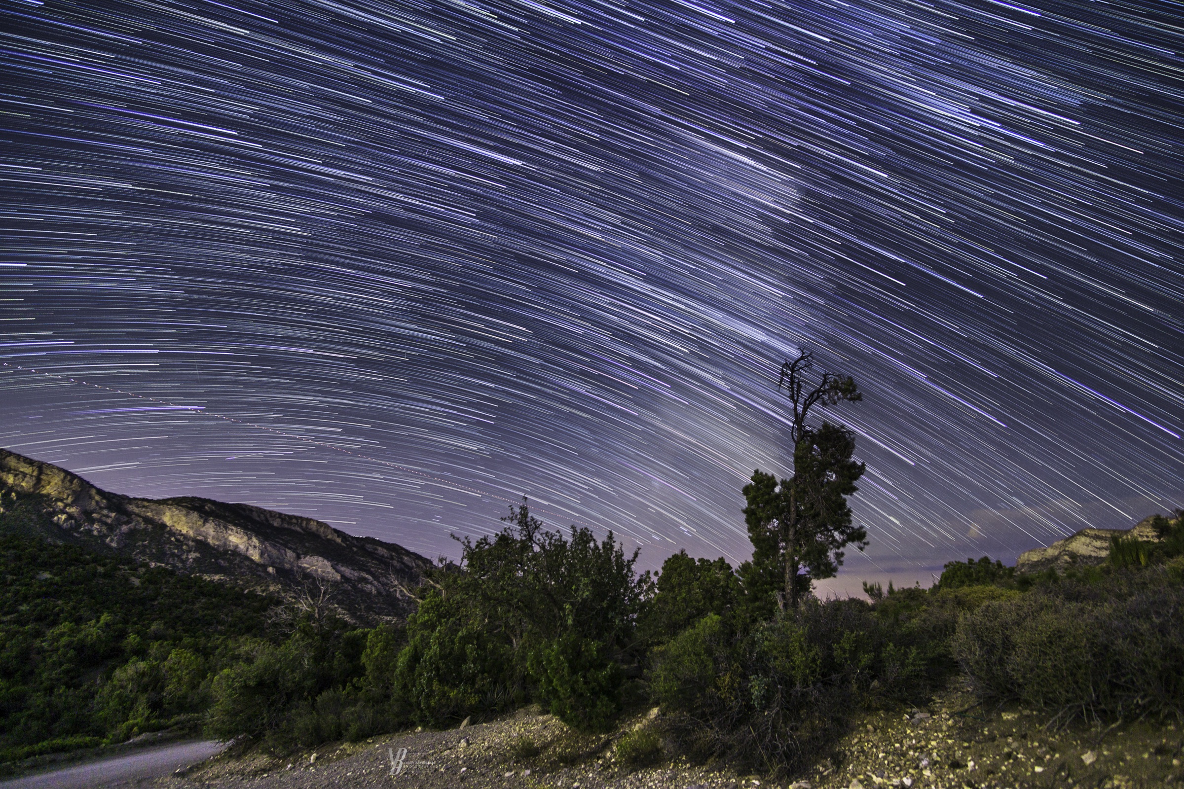 Star trails arcing over a lone tree and a moonlit ridge — photograph by Yaniv Bekerman