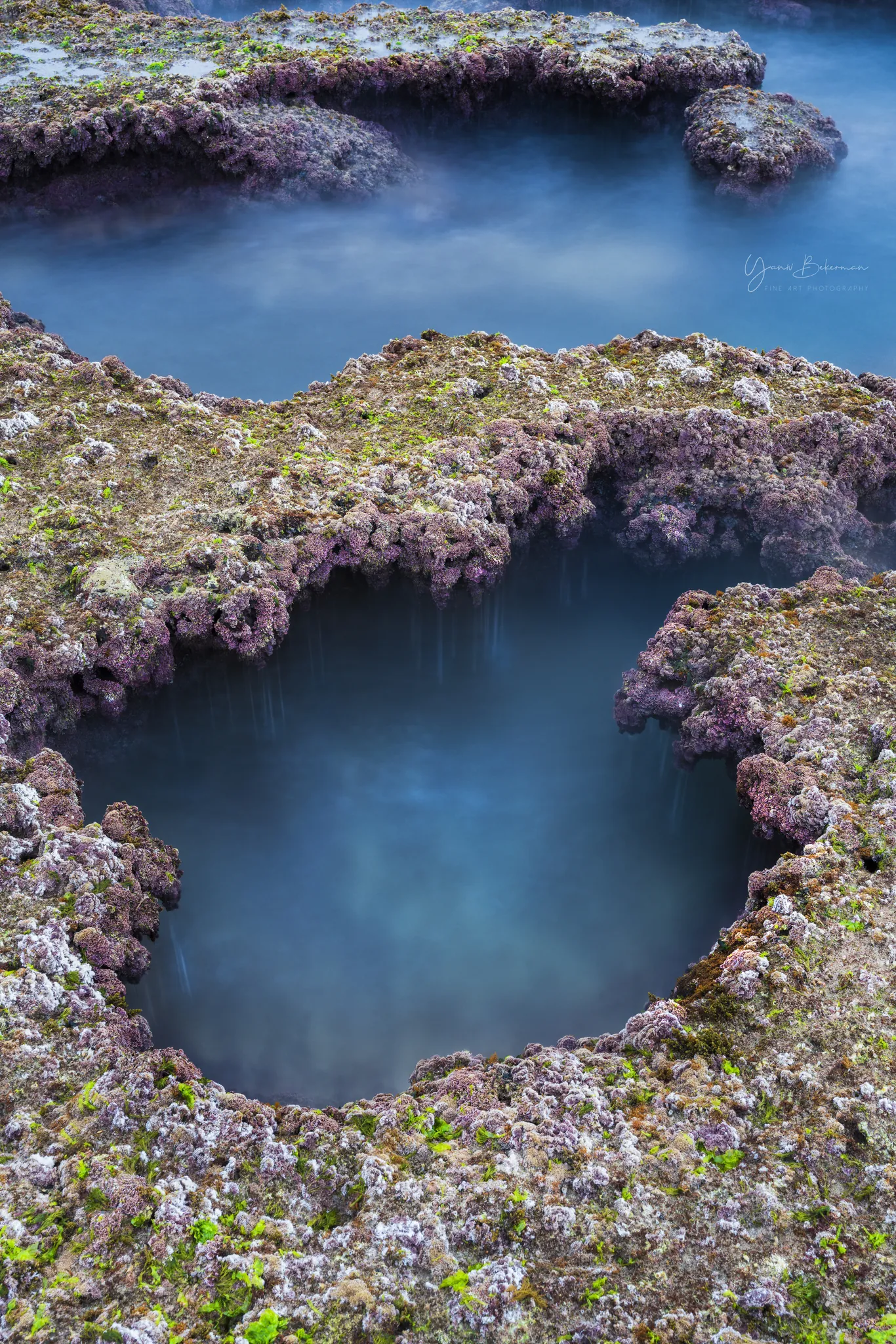 Achziv Tide Pool, Achziv, Israel, photograph by Yaniv Bekerman