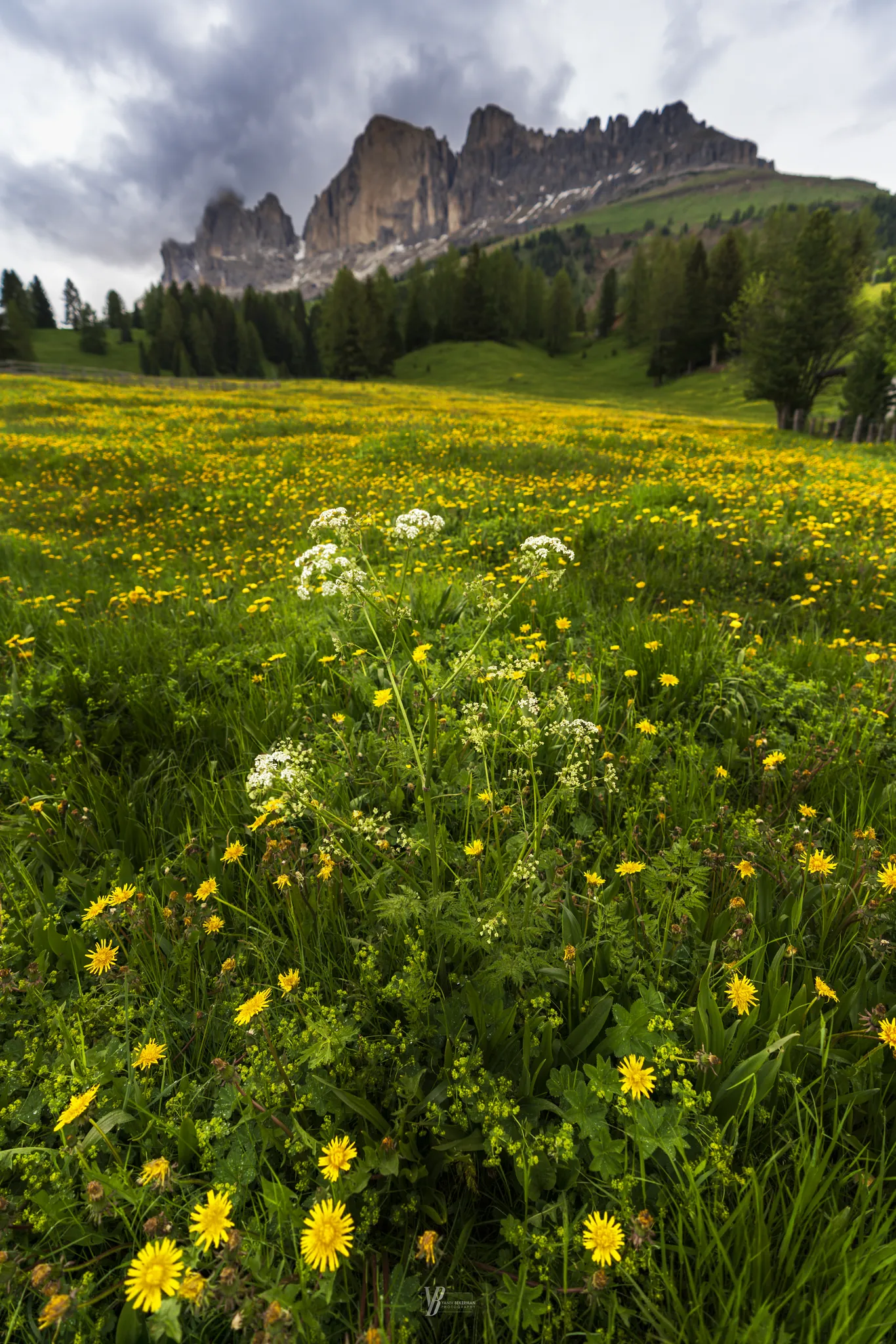 Dolomites Meadow, Dolomites, Italy, photograph by Yaniv Bekerman