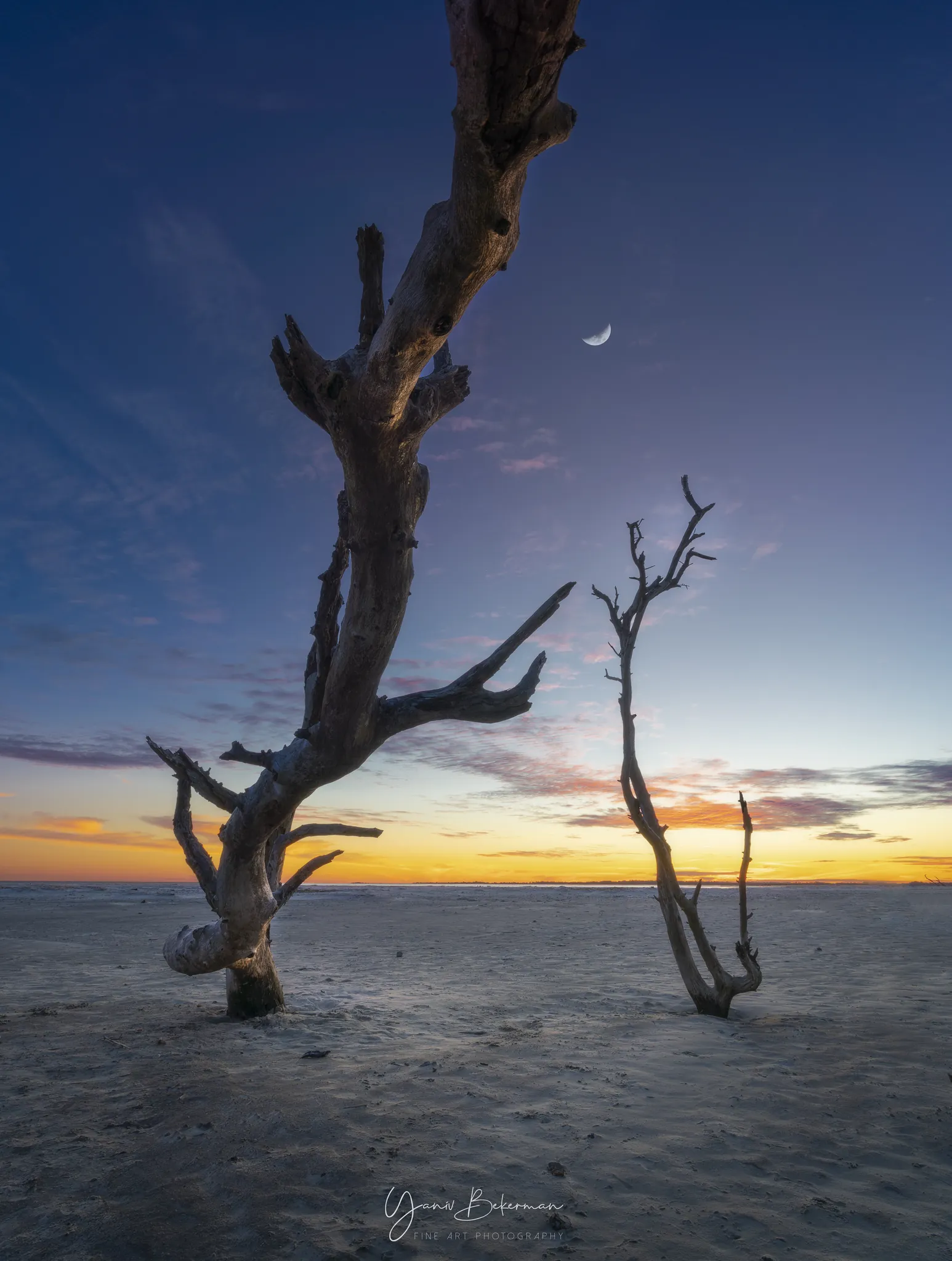 Wish Tree, Folly Beach, South Carolina, photograph by Yaniv Bekerman