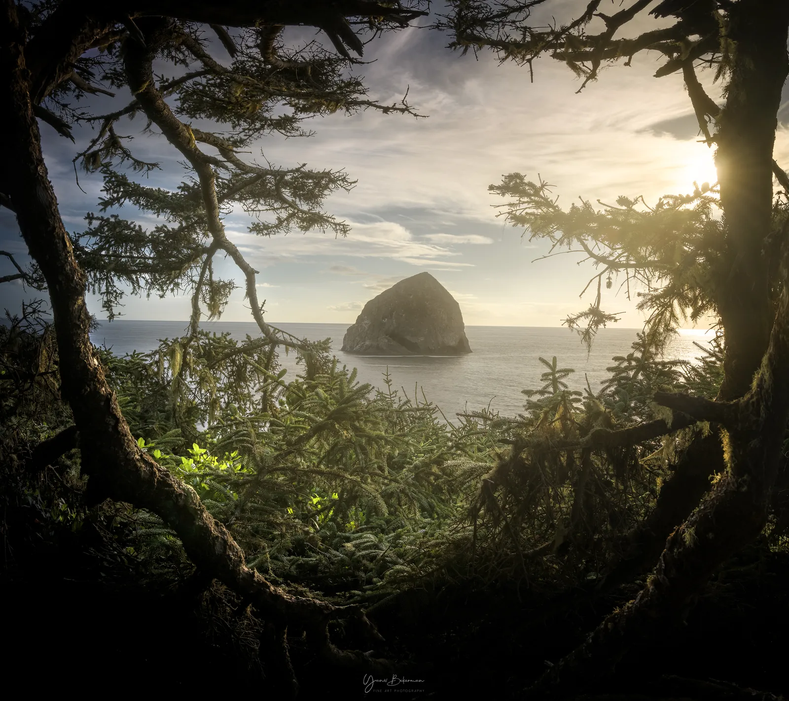 Haystack Rock Through the Trees, Cape Kiwanda, Oregon, photograph by Yaniv Bekerman