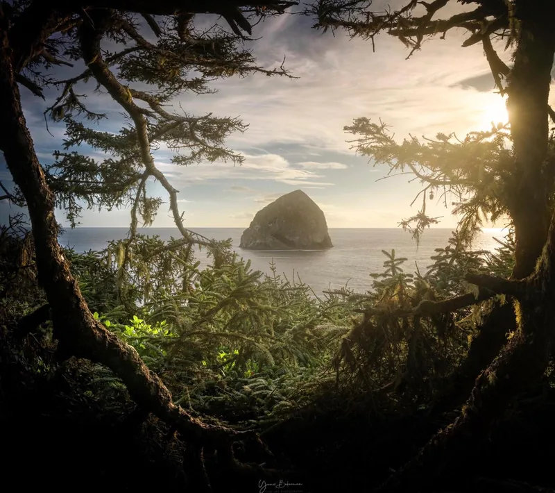 Haystack Rock Through the Trees, photograph by Yaniv Bekerman