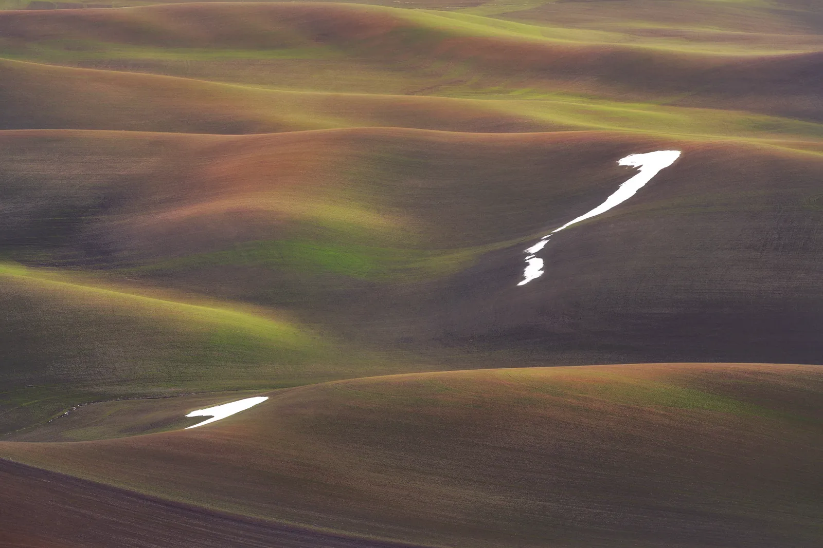 Palouse, Palouse, Washington, photograph by Yaniv Bekerman