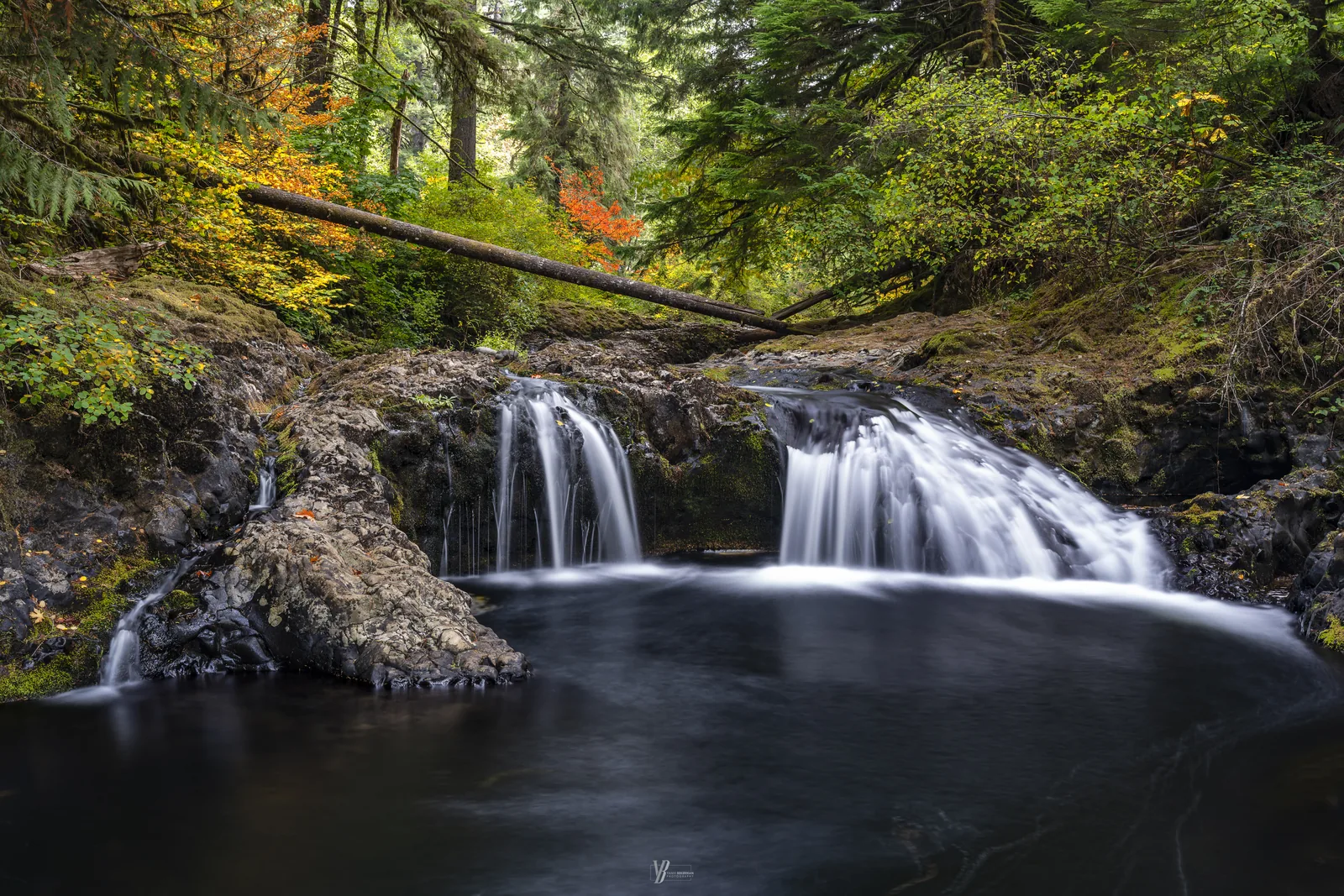 Silver Falls — Silver Falls State Park, Oregon, photograph by Yaniv Bekerman